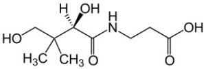 | Nutracap