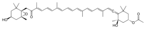 | NutraCap