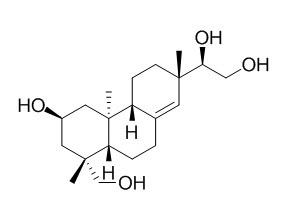 Kirenol 2% 1 | Nutracap