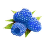 BlueRasberry-150x150
