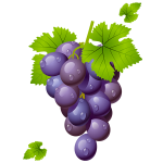 grapes-150x150