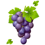 grapes-150x150